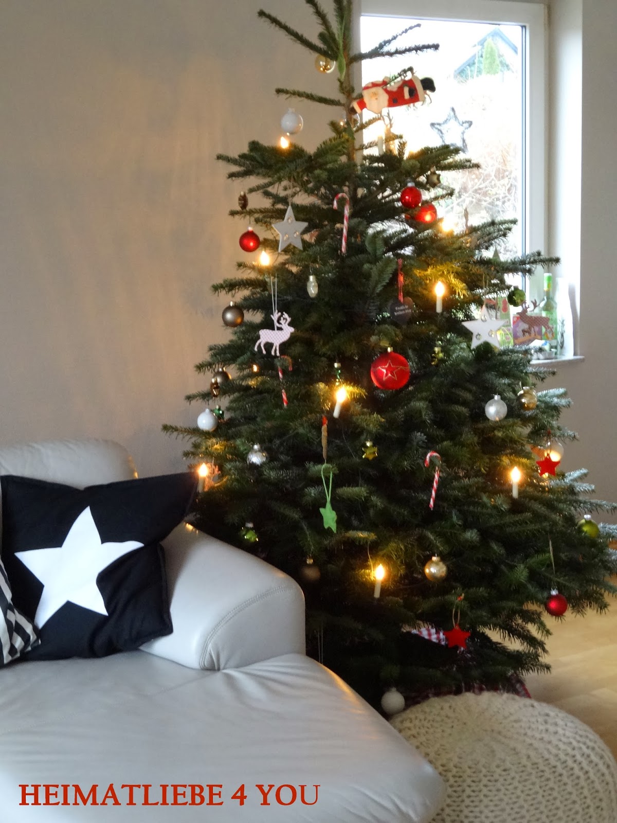 HEIMATLIEBE 4 YOU: Heim@ - Tannenbaum sucht ein Zuhause